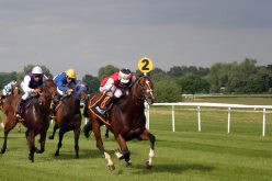 Sistema scommesse Martingala: come Funziona