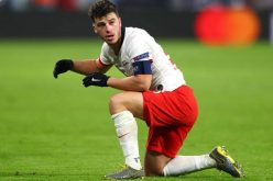 Calciomercato Fiorentina, un rinforzo a centrocampo e in attacco?
