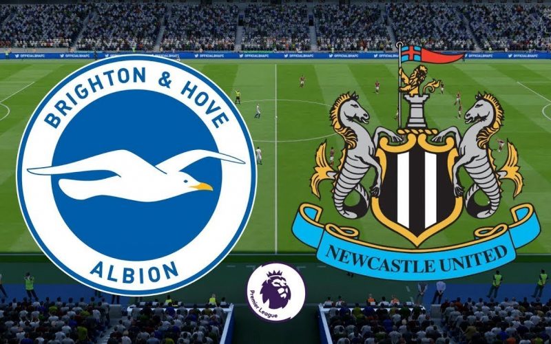 Premier League, Brighton-Newcastle: pronostico, probabili formazioni e quote (20/03/2021)