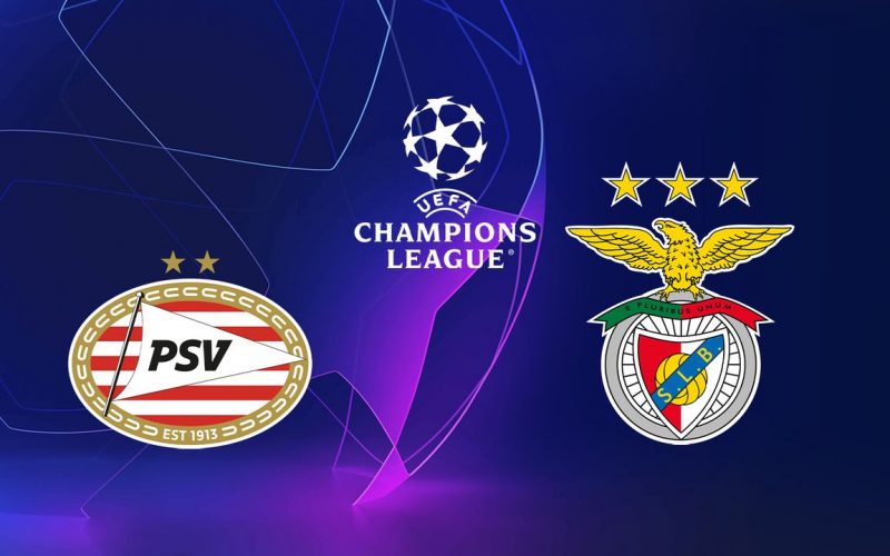 Champions League, PSV-Benfica: pronostico, probabili formazioni e quote (24/08/2021)