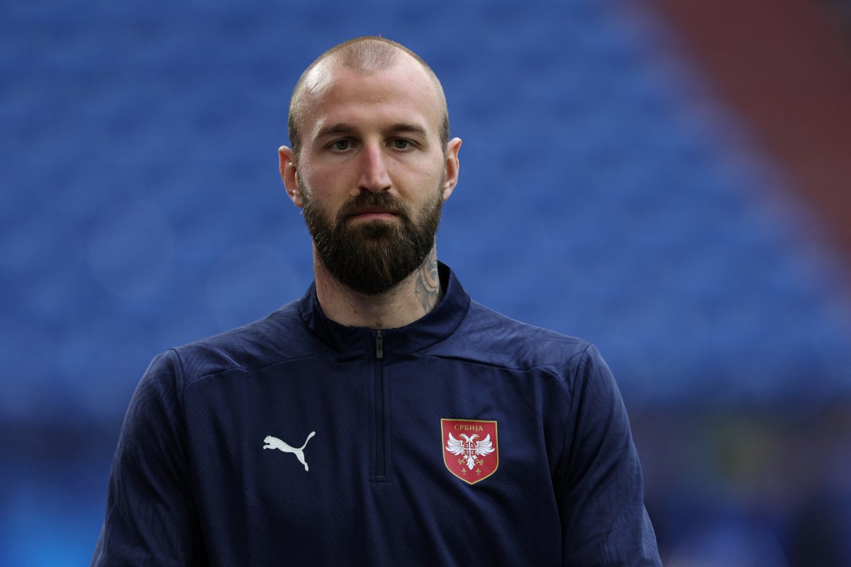 milinkovic savic
