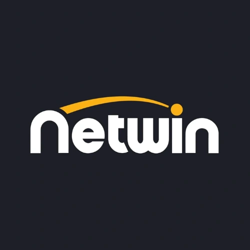 Netwin Logo