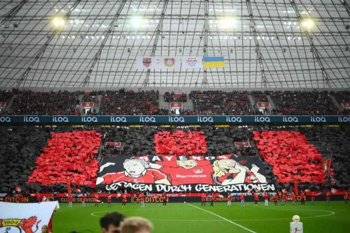 bayarena