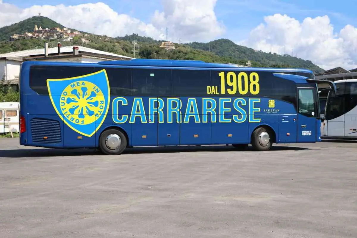 carrarese