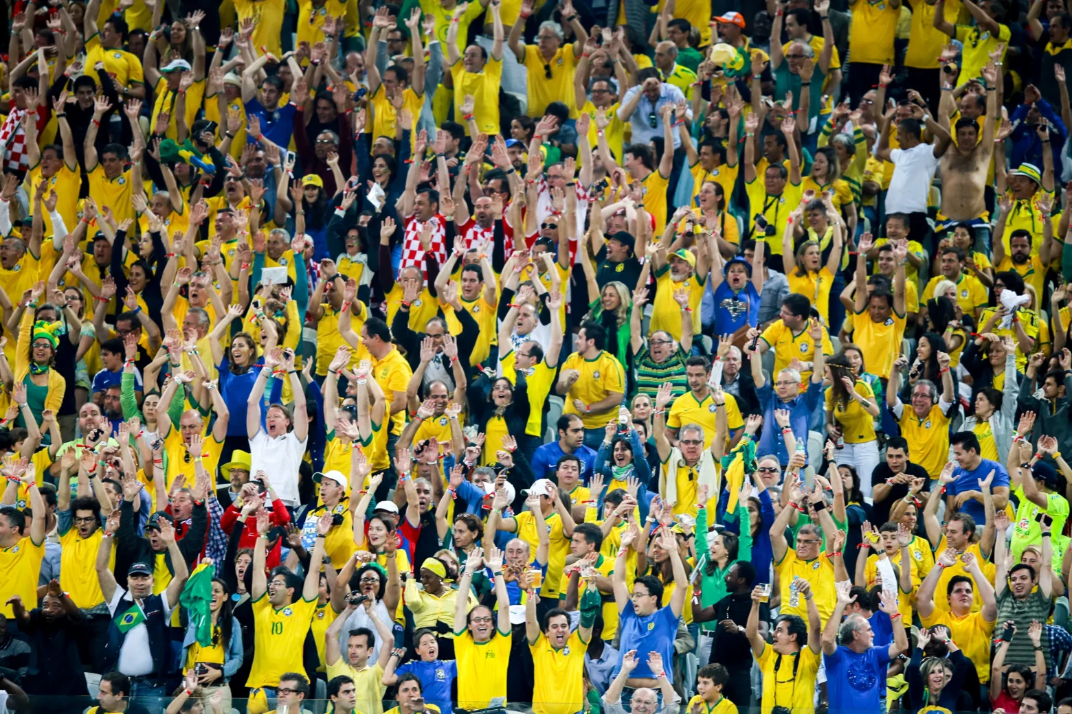 Tifosi Brasile
