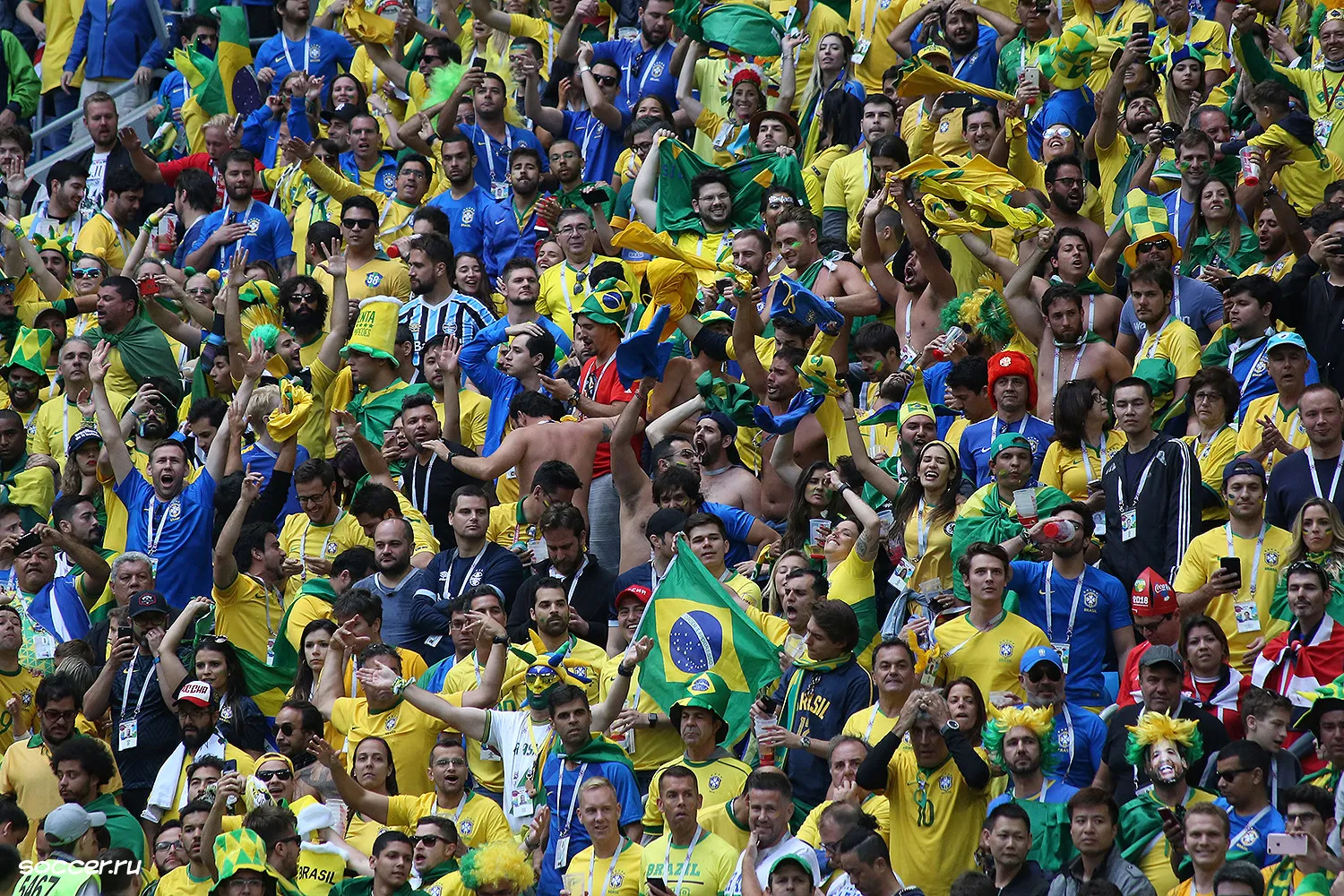 Tifosi Brasile