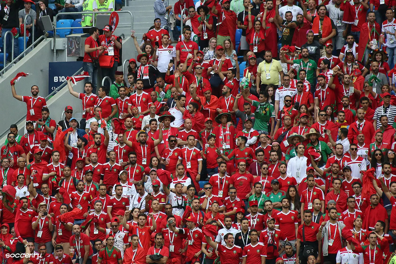 Tifosi Marocco