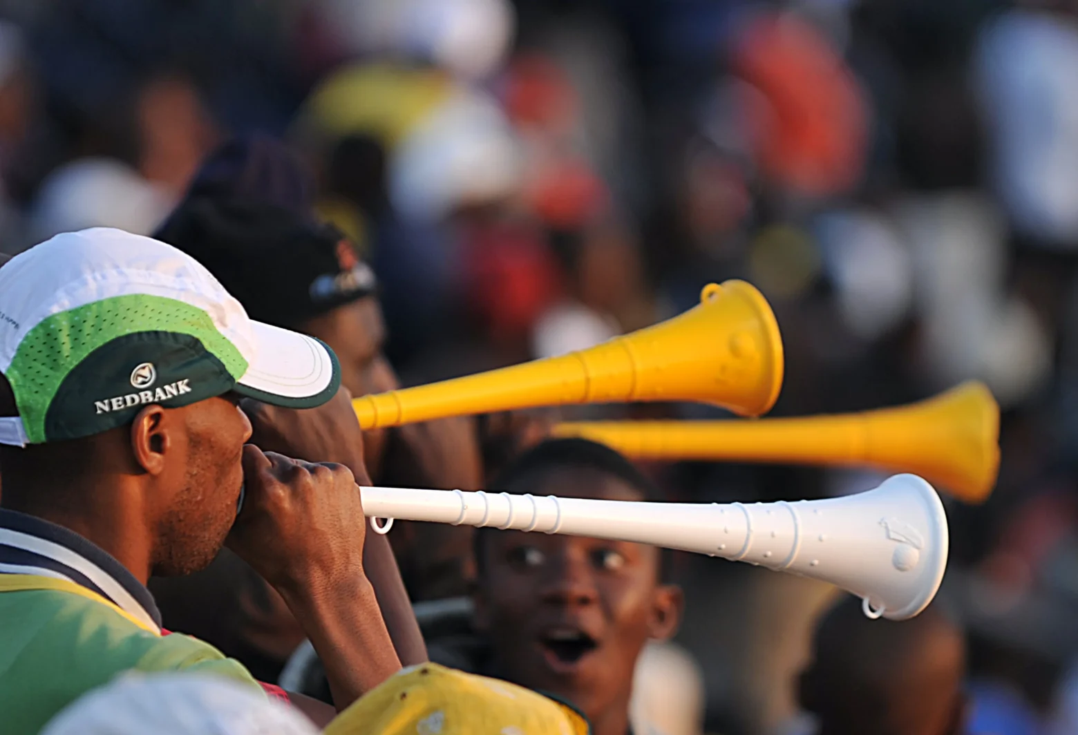 Tifosi Sudafrica