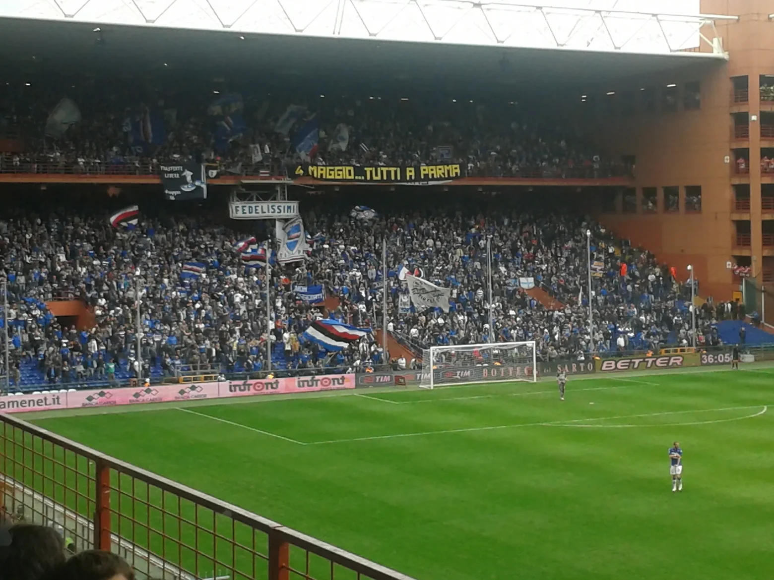 Tifosi Sampdoria